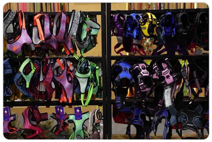 the light green dog collar set the light green dog collar set